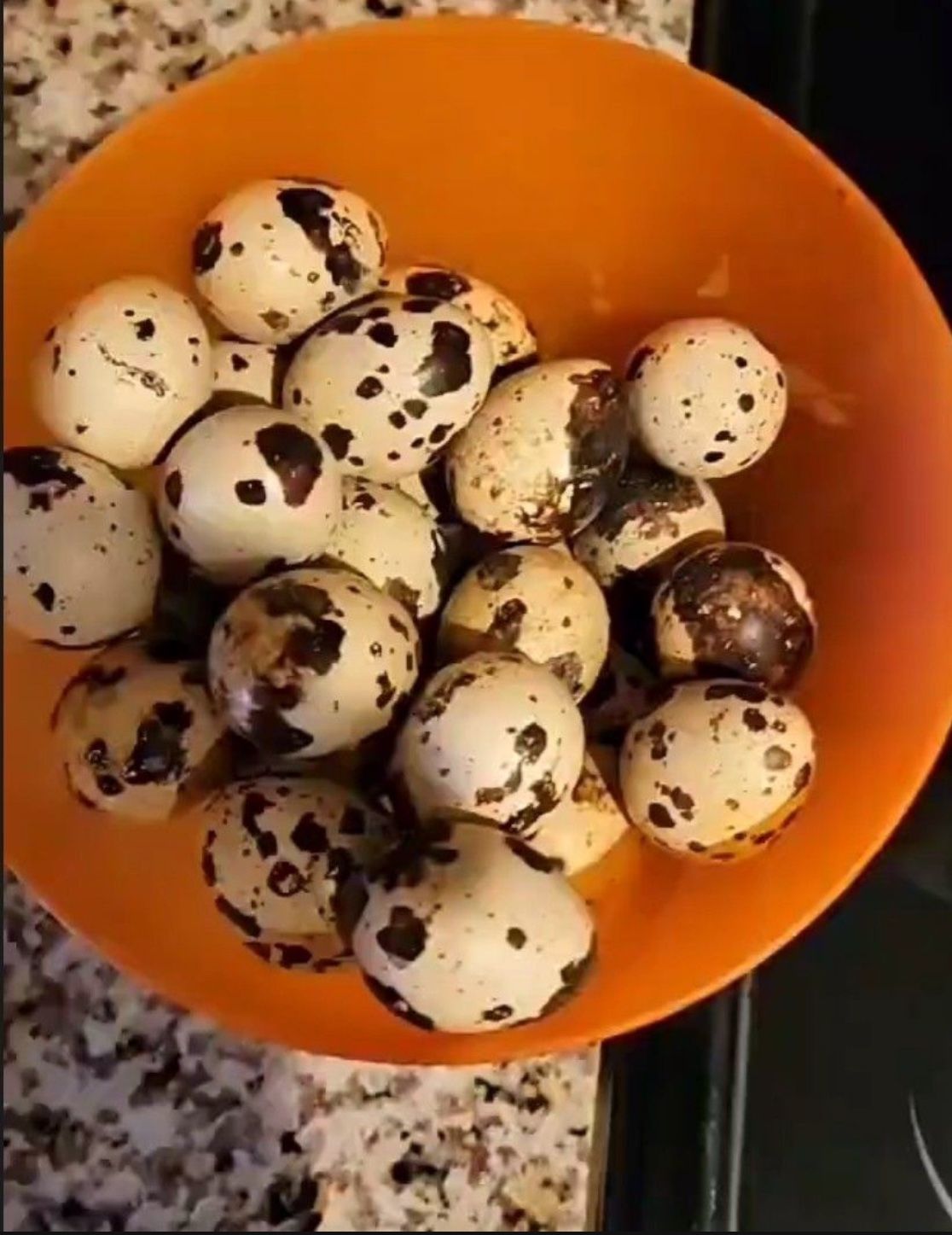 Organic Quail Eggs 