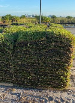 Sod Delivery
