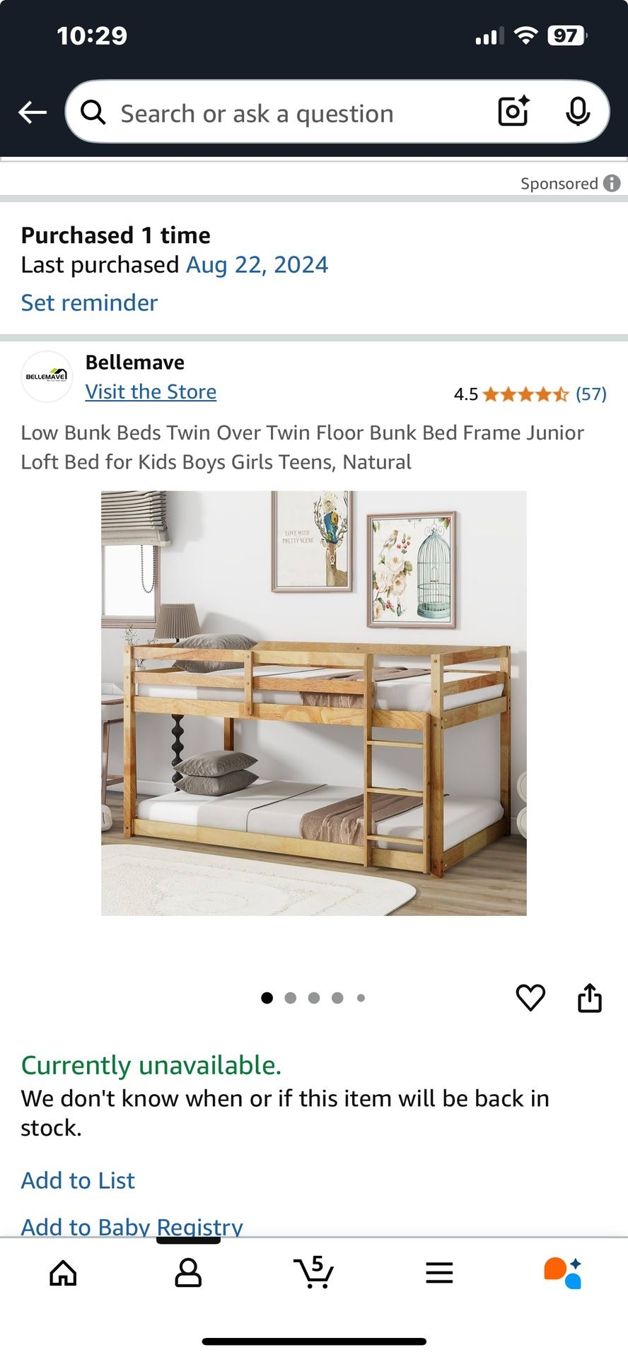 Twin kid bed frame & 2 Twin Mattresses 