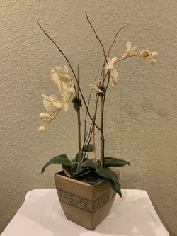 Lovely Silk Orchid In Ceramic Pot