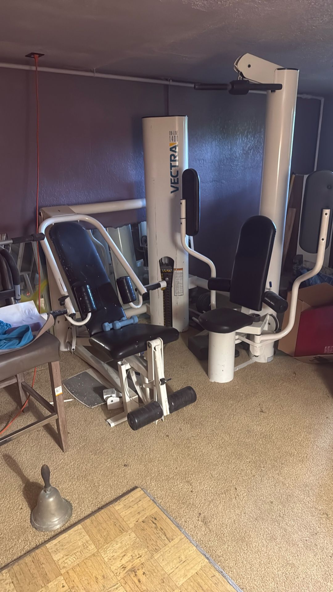 Home Gym Vectra