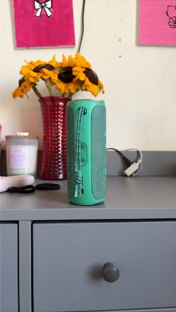 JBL Flip 5 Speaker
