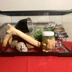 Thrive Desert Reptile Terrarium Essentials Kit - 10G