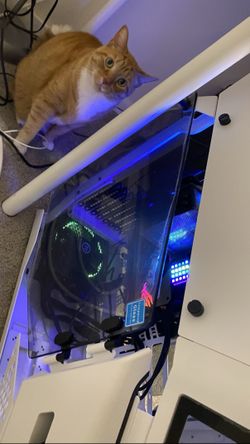 Desktop PC Tower - Intel i7-11700K, 64GB DDR4, 1TB NVMe SSD