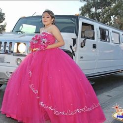 Hummer Y PartyBus 