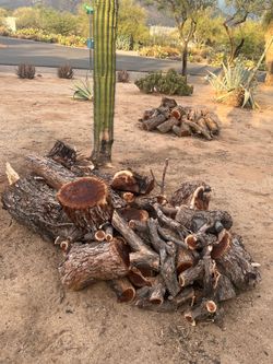 2 Piles of Cut Mesquite Wood