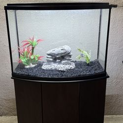 Aquarium For Sale 