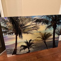 Beach Palm (Wall Art) 