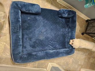 Dog bed huge