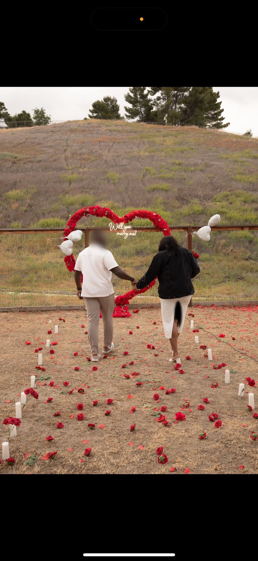Proposal set - decoration