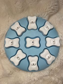 Outward Hound Dog Treat Puzzle Toy
