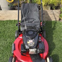 Toro Gas 6.75 22" Self-Propelled Lawnmower 