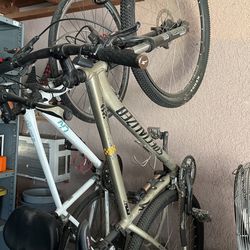 Rockhopper Bike