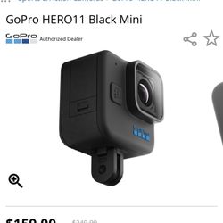 Go Pro 