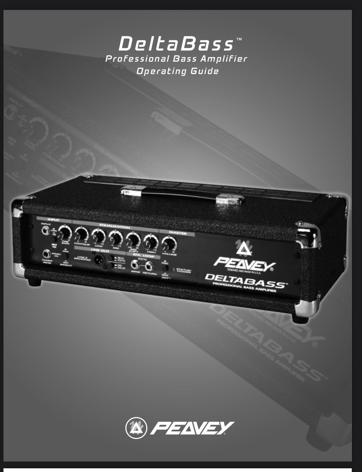 Peavey Deltabass 160w AmpHead for Sale in Queen Creek, AZ - OfferUp