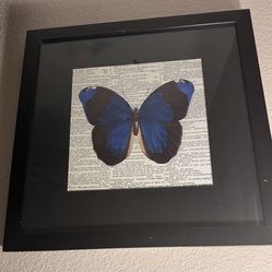 Butterfly Decorations