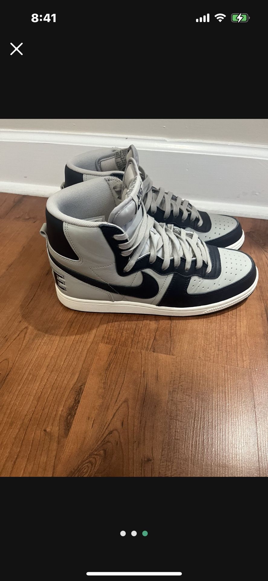 Size Ten Terminator Nike Dunks Worn Twice