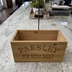 Decorative box with the plants