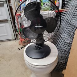 Fan