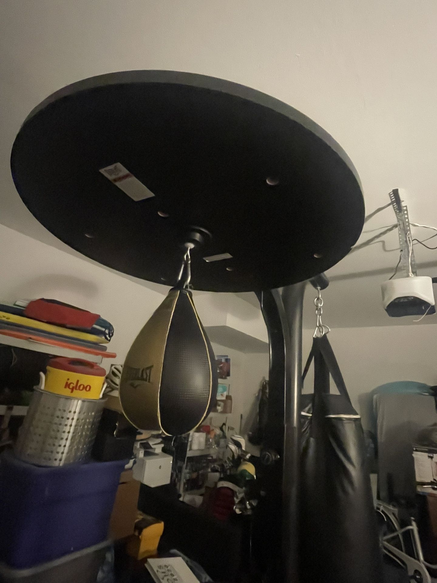 Puching bag and speed bag combo