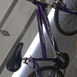 BIKE- Schwinn Side Winder $90 OBO