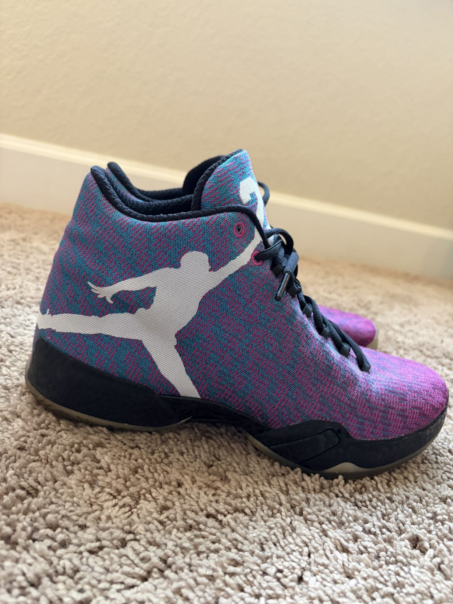 NIKE AIR JORDAN 29 XX9 RIVERWALK SHOES MENS Size 12 mint condition