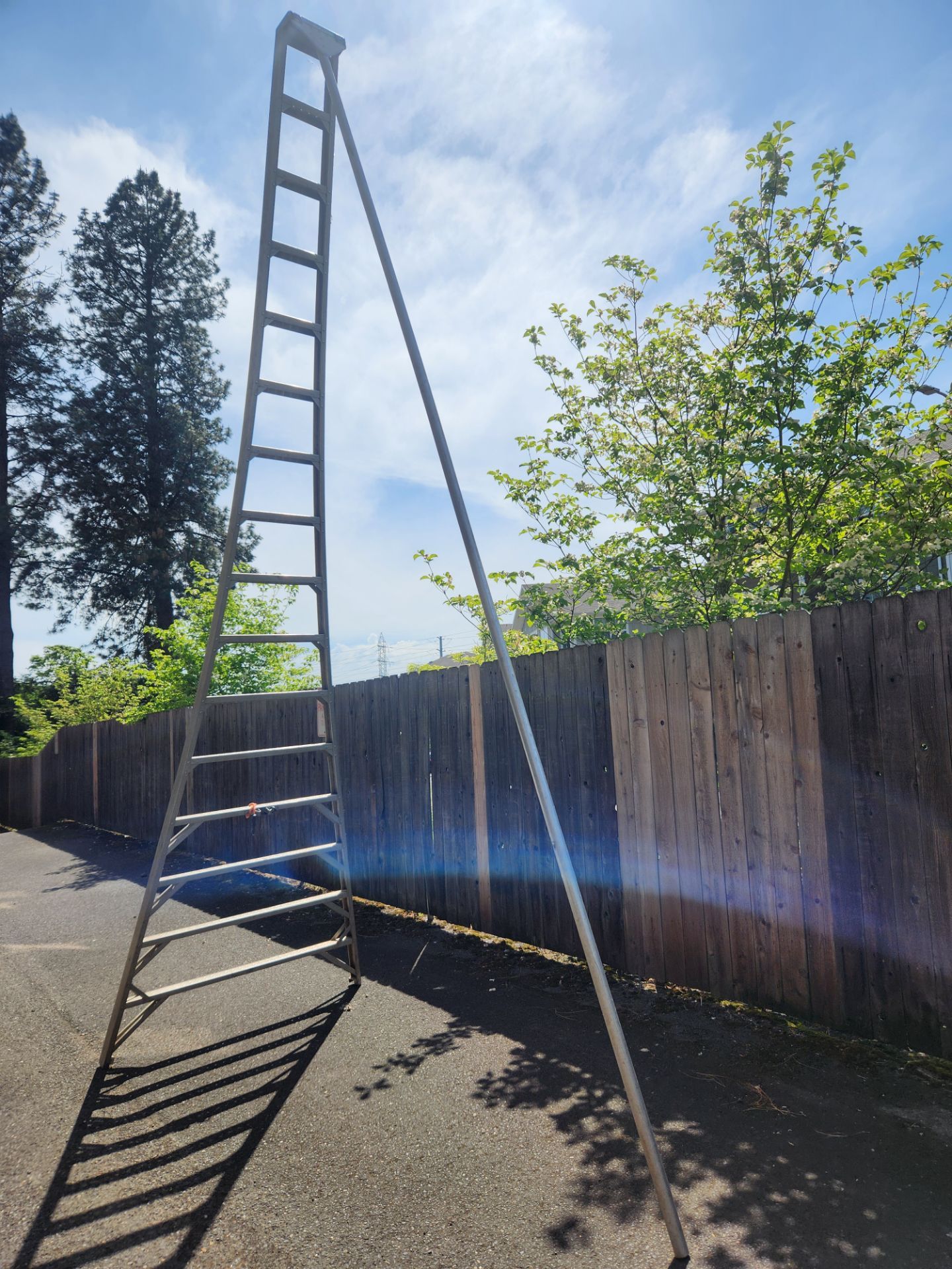 16 foot ladder