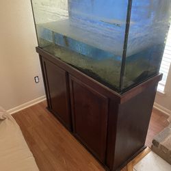 120 Gallon Fish Tank And Stand
