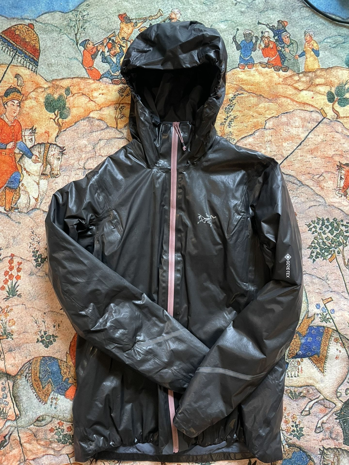 Arcteryx Norvan SL Insulated Hoody, Women’s Small