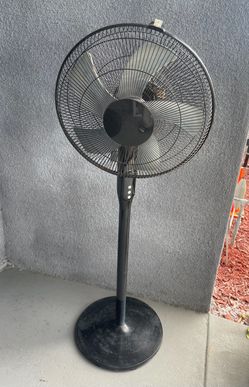 Fan