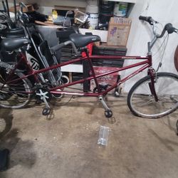2 Seater Bike