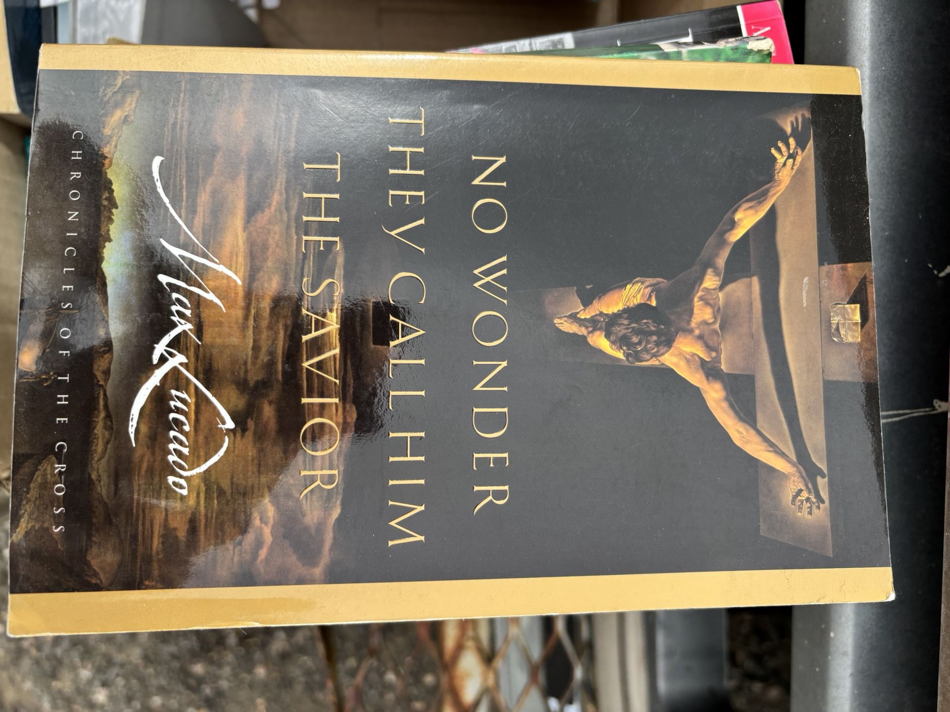 No wonder they call him the savior book