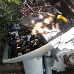 Evinrude 15hp