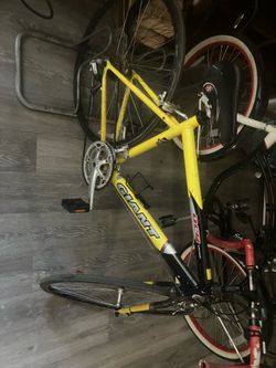 Giant OCR THREE CYCLE