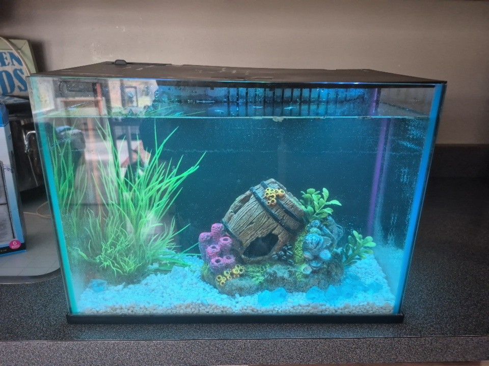 Fish Tank W/accessories 