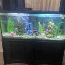 55 Gallon Aquarium With Filter and Decorations 