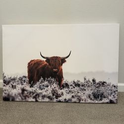 Highlander Bison Canvas 24x36