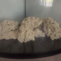Used Coral Reef Rock / Dry Reef Rock – Aquarium Aquascaping