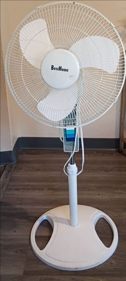 Fan
