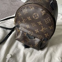 Louis Vuitton Bag 