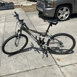 Gray mongoose 6061