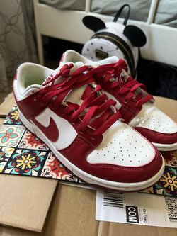 Nike Dunks “Next Nature”
