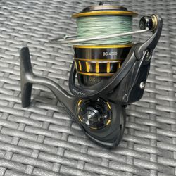 Diawa Fishing Reel