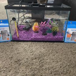 Fish Tank 