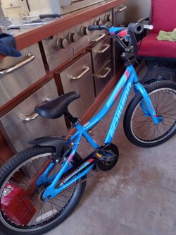 BIKE SCHWINN FOR BOYS TIRES SIZE 20