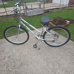 Adult Bike 26in