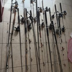 Fishing Rod And Reel