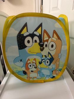 small bluey basket laundry