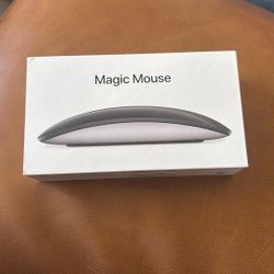 Magic Mouse 
