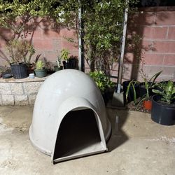 Dog House 